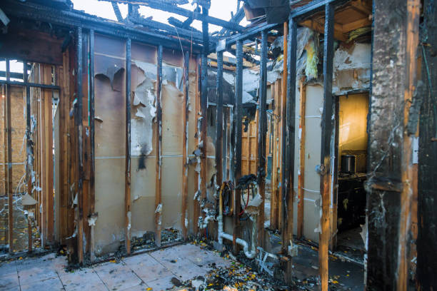 Professional Fire Damage Removal technician working in Cherry Grove, OH